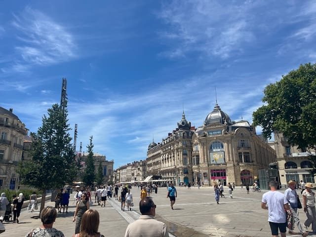 Conseiller en gestion de patrimoine à Montpellier, Place de la Comédie